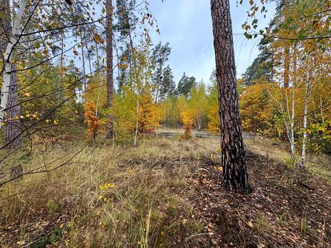 ділянка за адресою 11-та Лінія вул.