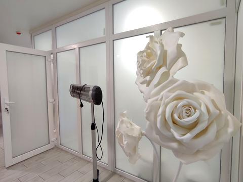 комерційна за адресою вул. Дворецька, 46