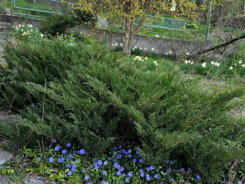 будинок за адресою СТ Ягідка, 39А