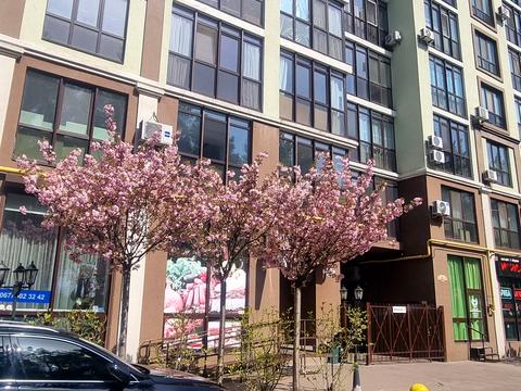 квартира по адресу Радистов ул., 34-Г