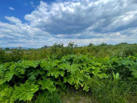 ділянка за адресою 