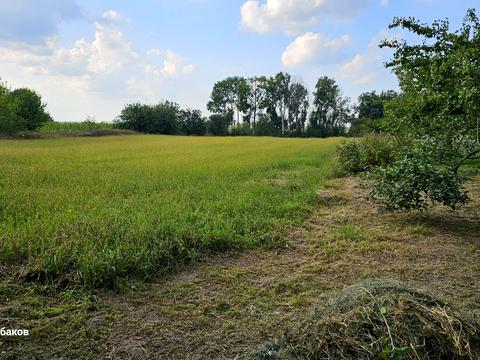 будинок за адресою с. Плужники, Гордієнка