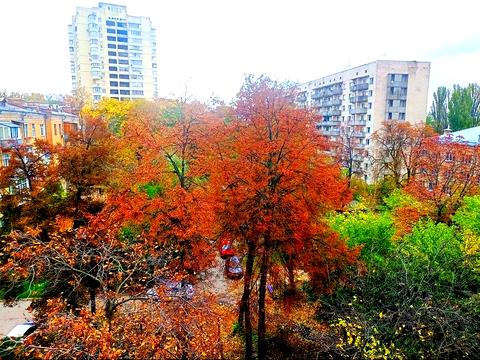 квартира за адресою Сім'ї Бродських вул. (Смоленська), 5/1