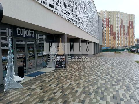 коммерческая по адресу Олександра Олеся ул., 2п