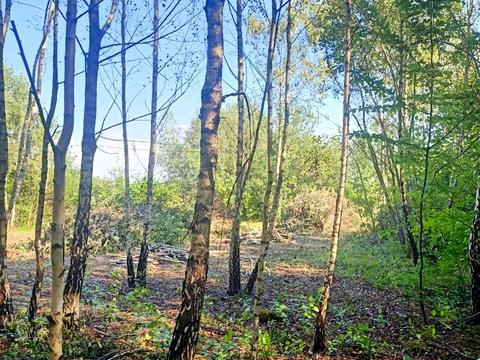 ділянка за адресою Михайла Зорія