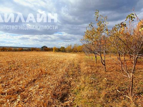 комерційна за адресою Чапаєва, 47