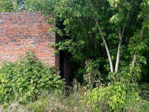 комерційна за адресою Івана Мазепи вул. (Щорса), 59