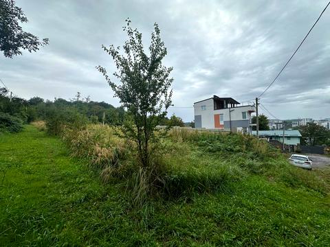 ділянка за адресою Анатолія Петрицького вул.