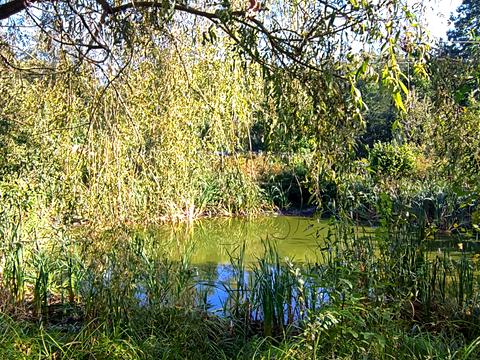 будинок за адресою Центральна