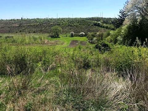 ділянка за адресою Салютна вул., 1