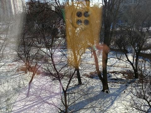 квартира за адресою Миколи Василенка вул., 13-А