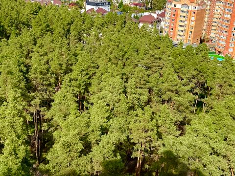 квартира по адресу Университетская ул., 3/7