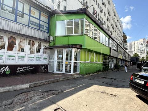 коммерческая по адресу Ларисы Руденко ул., 6-А