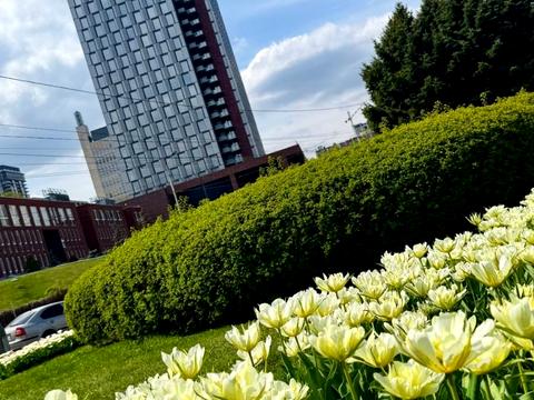 комерційна за адресою Січеславська Набережна вул., 53