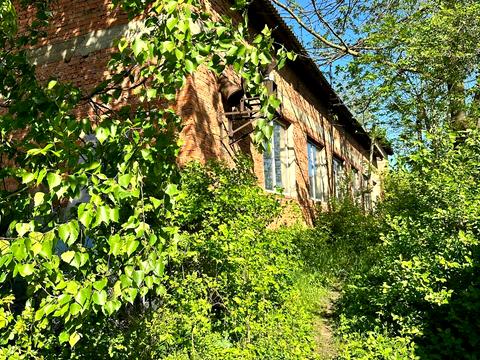 коммерческая по адресу незалежності, 333