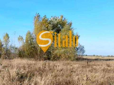 ділянка за адресою с. Вишеньки, 