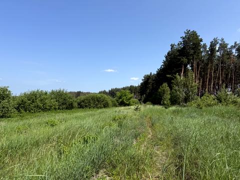 ділянка за адресою Зелена