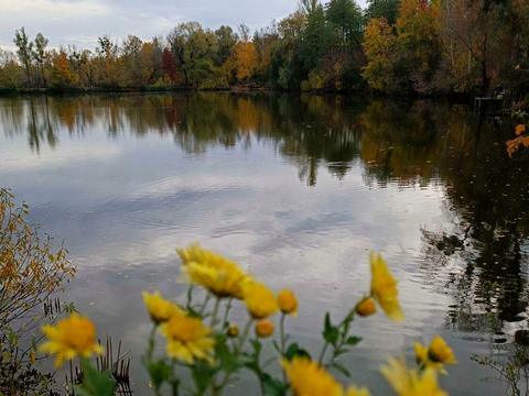 будинок за адресою київська