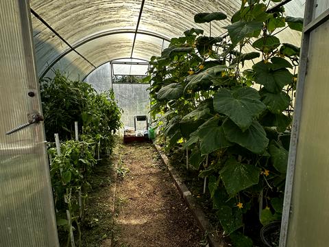 будинок за адресою Ново-Заводська вул.