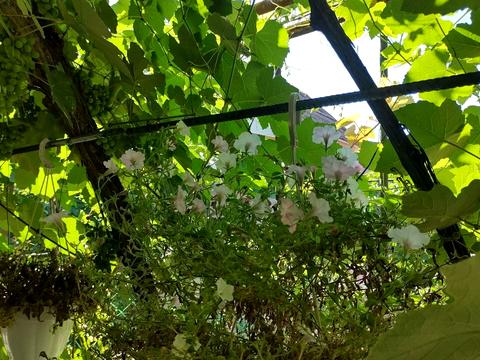 будинок за адресою Академіка Гаркавого вул. (Житомирська)