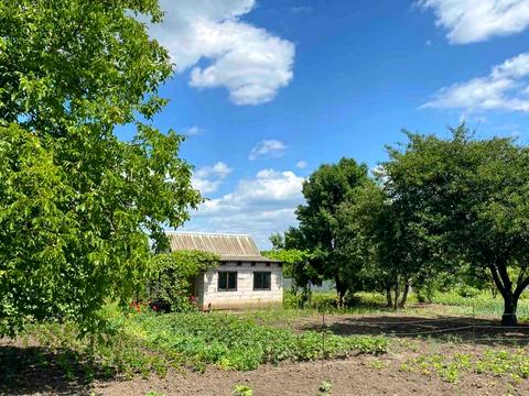 будинок за адресою Остапа Вишні вул., 10