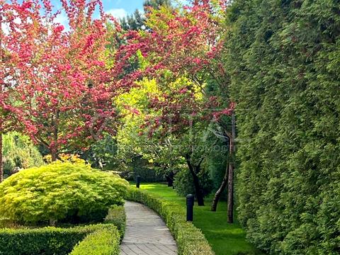 дом по адресу Старокиївська