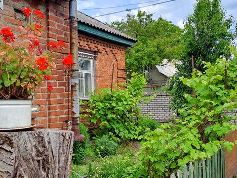 дом по адресу Шкільна, 2