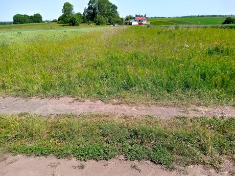 участок по адресу Нове село