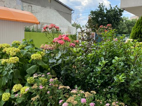 квартира за адресою Бугаївська вул., 44