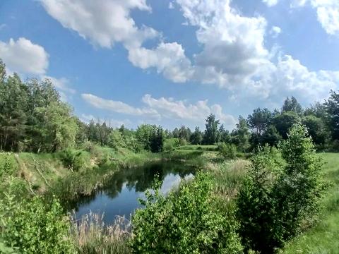 ділянка за адресою с. Мотижин, 