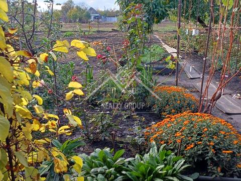 дом по адресу с. Новомайское, Гагаріна, 65