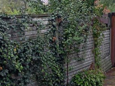 дом по адресу Українська ул.