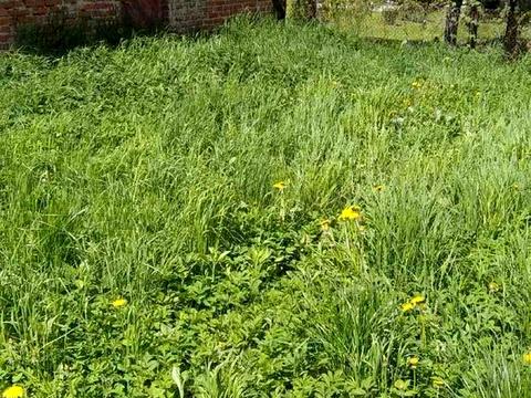 будинок за адресою Михайла Грушевського вул.