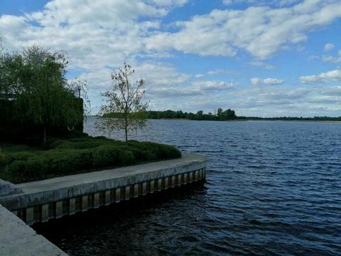 ділянка за адресою Липська вул., 33