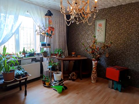 будинок за адресою Хвіля