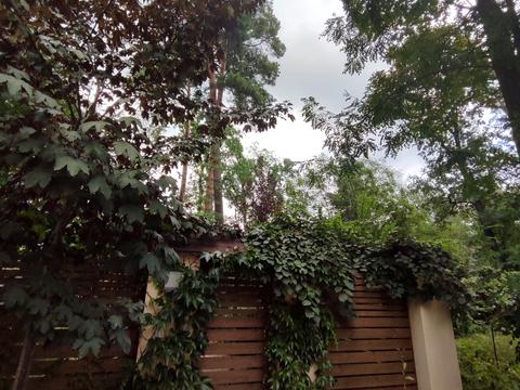 ділянка за адресою кичєївська