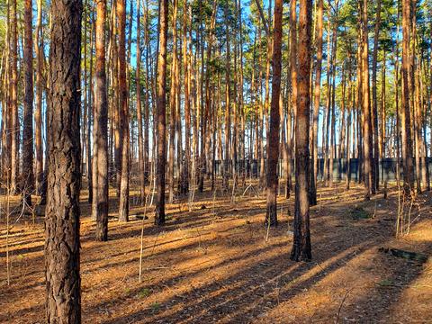 участок по адресу Марченка
