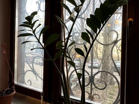 квартира за адресою Прогресивна вул., 10