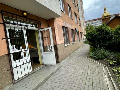 комерційна за адресою Петра Панча вул., 16
