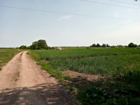 участок по адресу Нове село