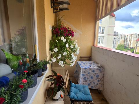 квартира за адресою Валерія Лобановського вул., 18
