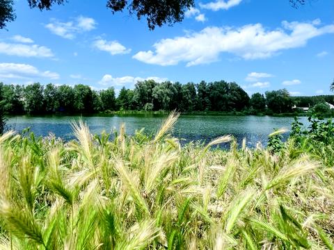 будинок за адресою Каштанова вул. (Тракторна)