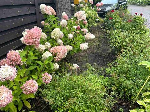 дом по адресу Буча, Тячівський провулок, 9Г
