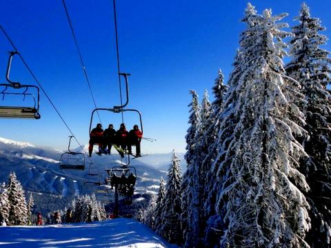 квартира за адресою Урочище Вишні, 230