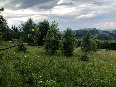 участок по адресу с. Буковец, 