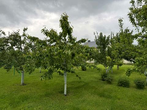 будинок за адресою Теплична