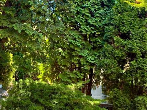 будинок за адресою Дніпро, Миколи Гнатюка вул. (Ласточкіна)