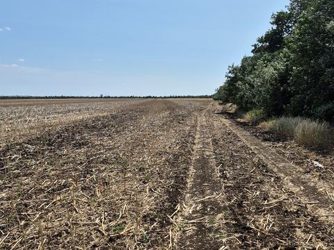 ділянка за адресою с. Богнатове, Траса М05 Києв-Одеса