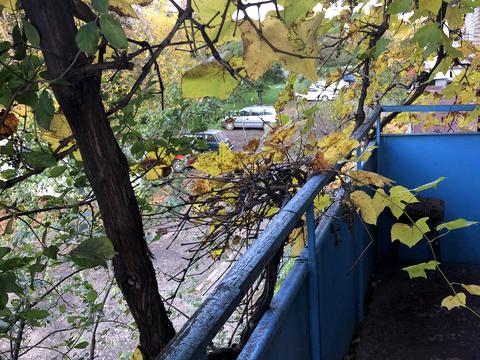 комната по адресу Вʼячеслава Приходька ул. (Михаила Лермонтова), 111