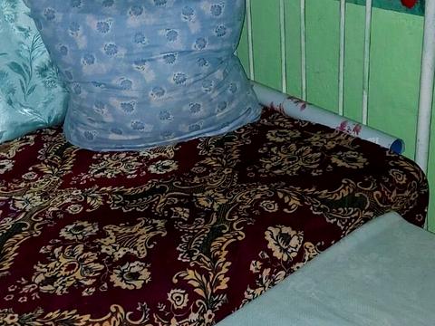 дом по адресу Велика